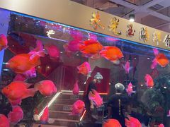 -朱光玉火锅馆(正弘城店)