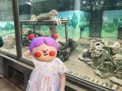 -昆明动物园