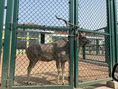 -秦皇岛野生动物园