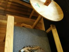 -猫的天空之城概念书店(杭州南宋御街店)