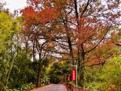 -宝晶宫旅游景区