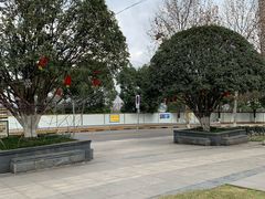 -重庆市江北嘴中央商务区中央公园