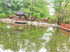 -大伊山景区