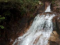 -九龙江国家森林公园