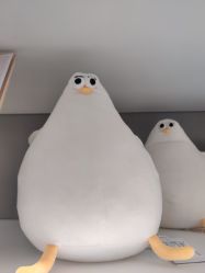 -上海市嘉定区妇幼保健院