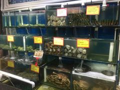 水产区-蚝专家(北滘店)