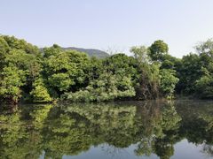 -龙坞茶村