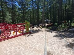 -芦芽山旅游度假区