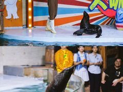 -南昌海洋公园