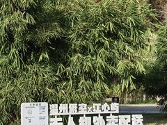 -江心屿景区