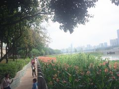 -南宁南湖公园