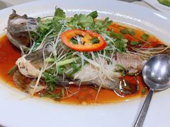 -桃源春晓中餐厅 TaoYuan Restaurant