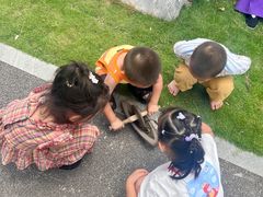 -广西壮族自治区药用植物园