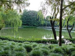 -黄兴公园