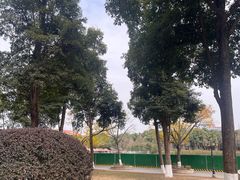-成都南湖公园