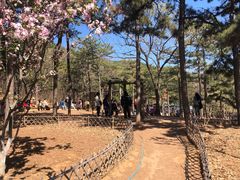 -北京西山国家森林公园