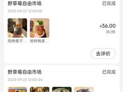 -野草莓自由市场