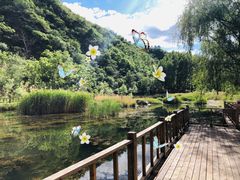 -白河湾生态旅游一条川