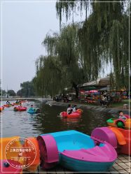 -上美四季动物农场