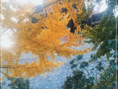 -东华门大街小区