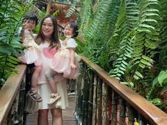 -正佳雨林生态植物园