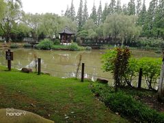-瀛洲公园