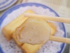 炸牛奶-捷信牛奶甜品世家(五道口店)