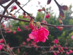 -乌山风景区