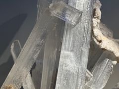 -重庆自然博物馆(新馆)