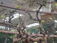 -南宫五洲植物乐园