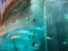 -鸿通城购物中心