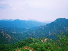 -大岭沟猕猴桃谷风景区