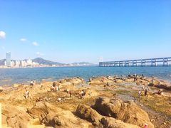-黑石礁公园