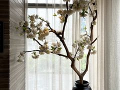 -云中漫步·足疗养生会馆(金开店)