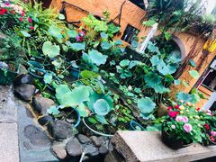 -园林美食城·本土农家菜(杨和镇店)