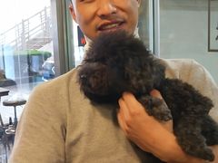 -PETKIT小佩宠物(古北店)