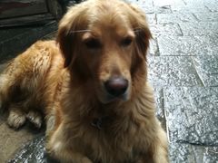 -蓝壁虎咖啡酒馆