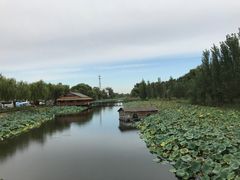 -白洋淀景区