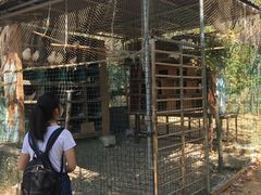 -八大山人梅湖景区