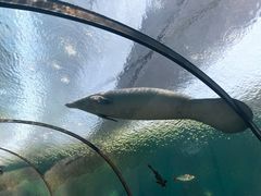-珠海长隆海洋王国