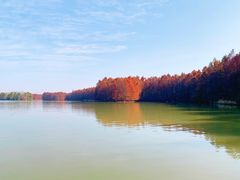 -上海海湾国家森林公园