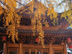 -上海东林寺(金山区)