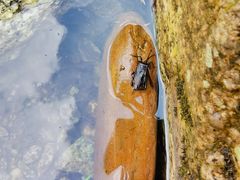 -萍乡武功山风景名胜区