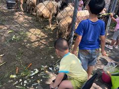 -长白岛森林公园