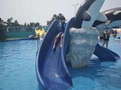 -秦皇岛乐岛海洋王国