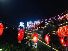 -枇杷园食为鲜火锅(南山店)