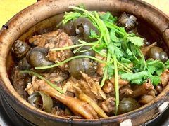 田螺焖鸡-棠记大排档(海珠店)