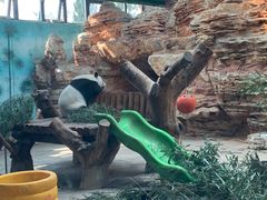 -石家庄市动物园