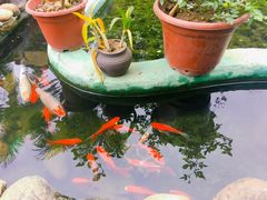 -园林美食城·本土农家菜(杨和镇店)