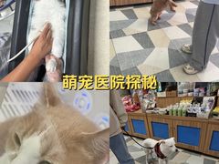 -总动员动物医院(宝丰院店)